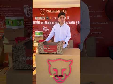 Cartones Yaguarete en Hortipar 2026: innovación en envases, inocuidad y economía circular