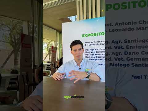 Todos están hablando de la recomposición del hato