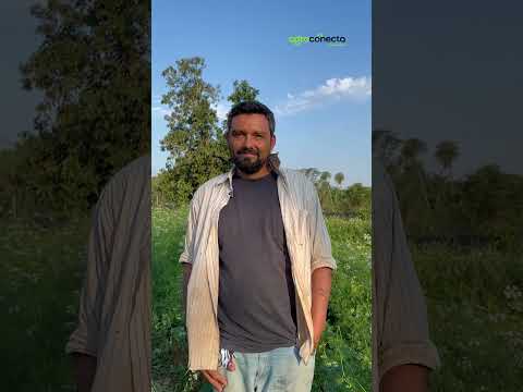 Una pequeña finca con gran diversidad: Agro Ato muestra su modelo de producción.
