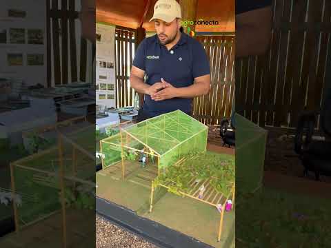 Usos de la MADERA IMPREGNADA de la Cooperativa Volendam - Hortipar 2026